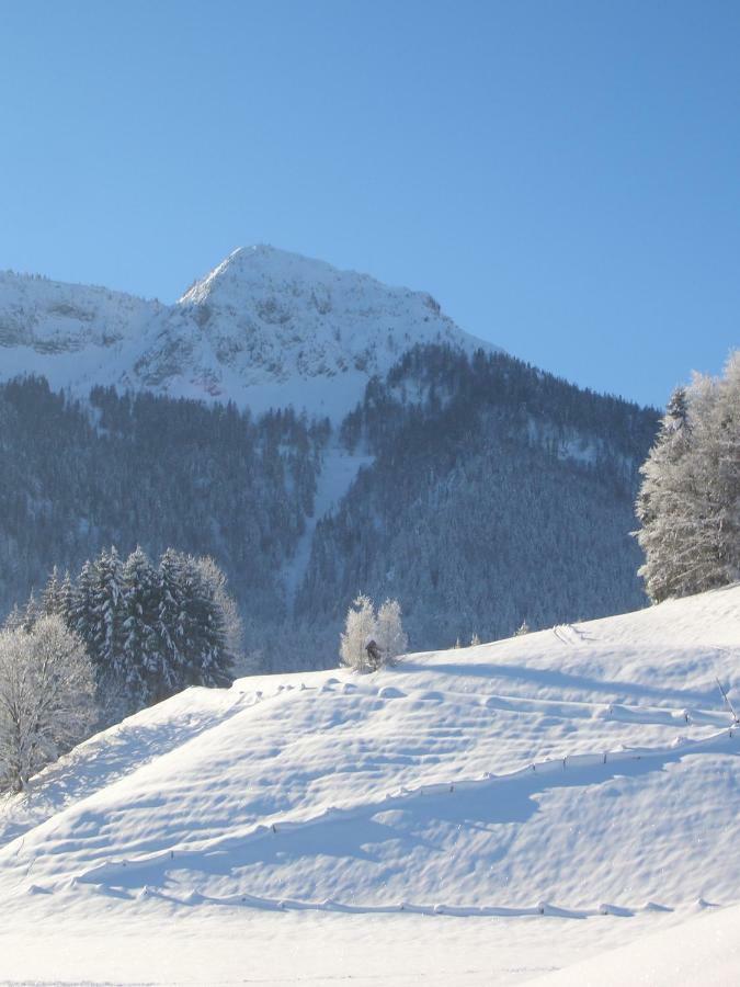 Haus Bergschmied Daire Inzell Dış mekan fotoğraf