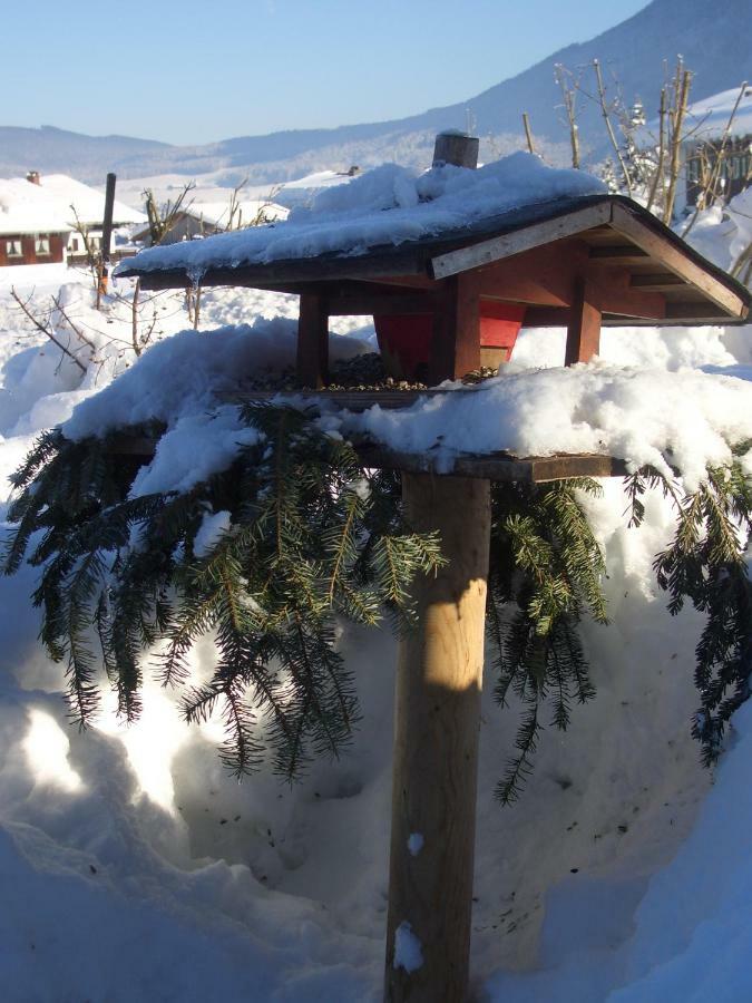 Haus Bergschmied Daire Inzell Dış mekan fotoğraf