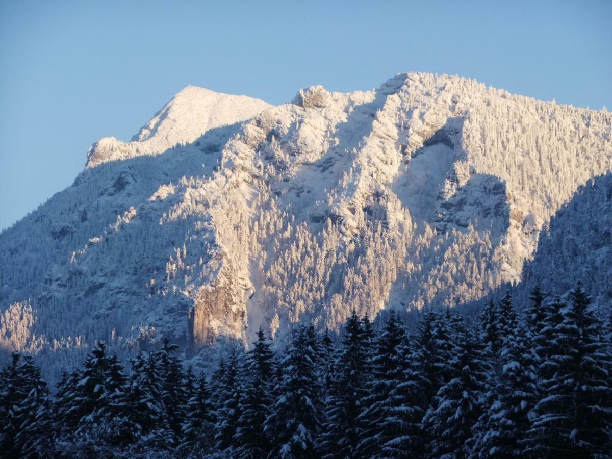 Haus Bergschmied Daire Inzell Dış mekan fotoğraf